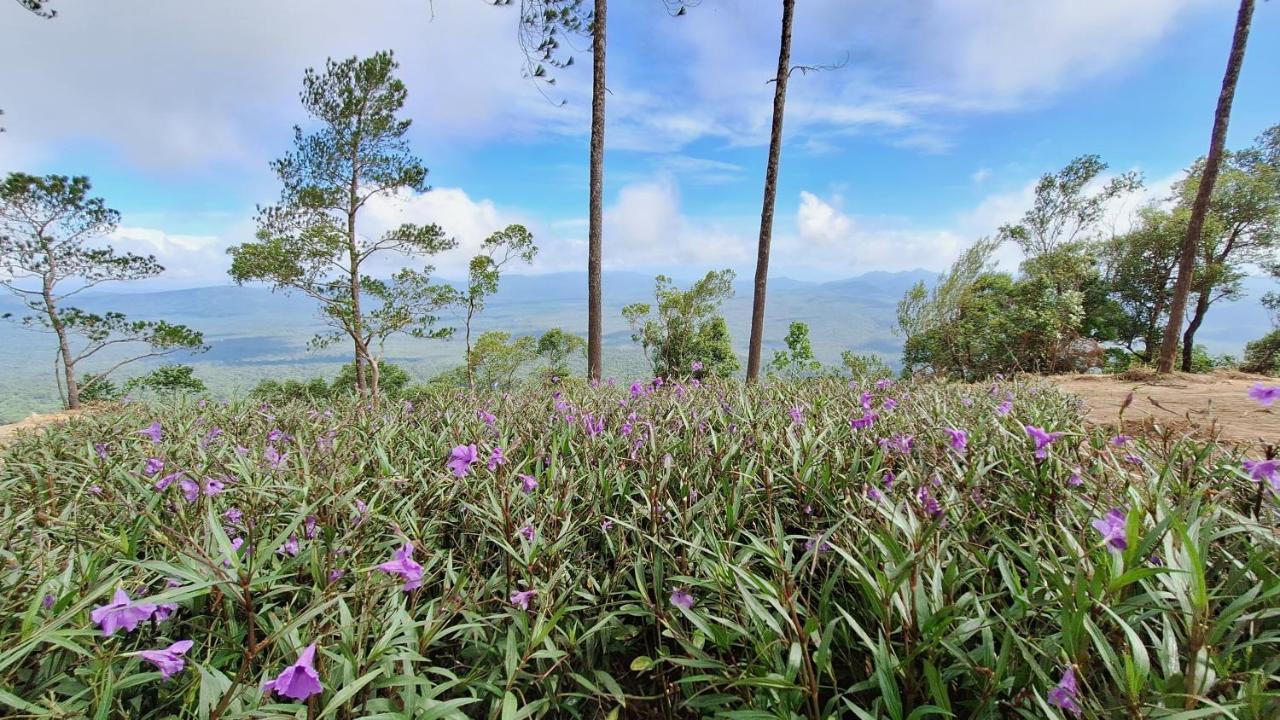 Romdoul Kirirom Resort 磅士卑省 外观 照片